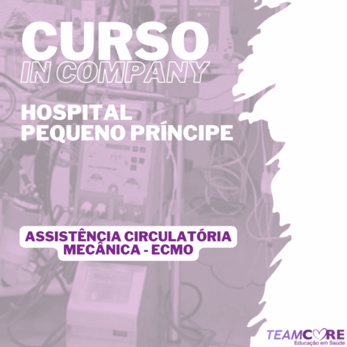 miniatura curso